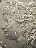 Sorry-,-First-Time-Poster-Looking-For-Some-Answers.-Zombie-Lips-Morgan-Dollar.-1882